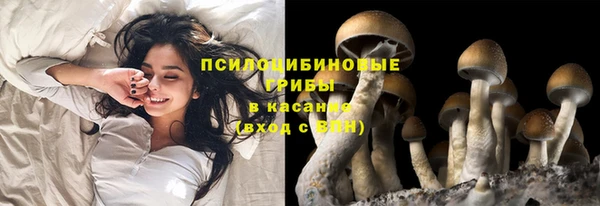 кокс Нягань