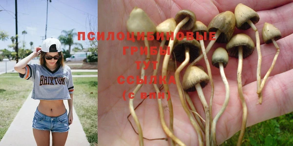 кокс Новозыбков
