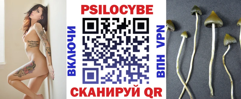 как найти закладки  darknet клад  Галлюциногенные грибы Psilocybe  Барабинск 